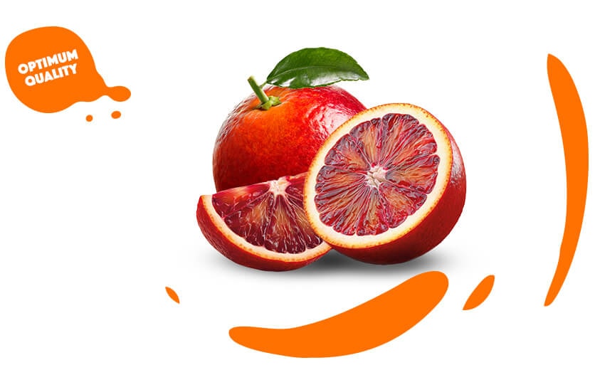 Orange Zest – Vita Nova Yoga